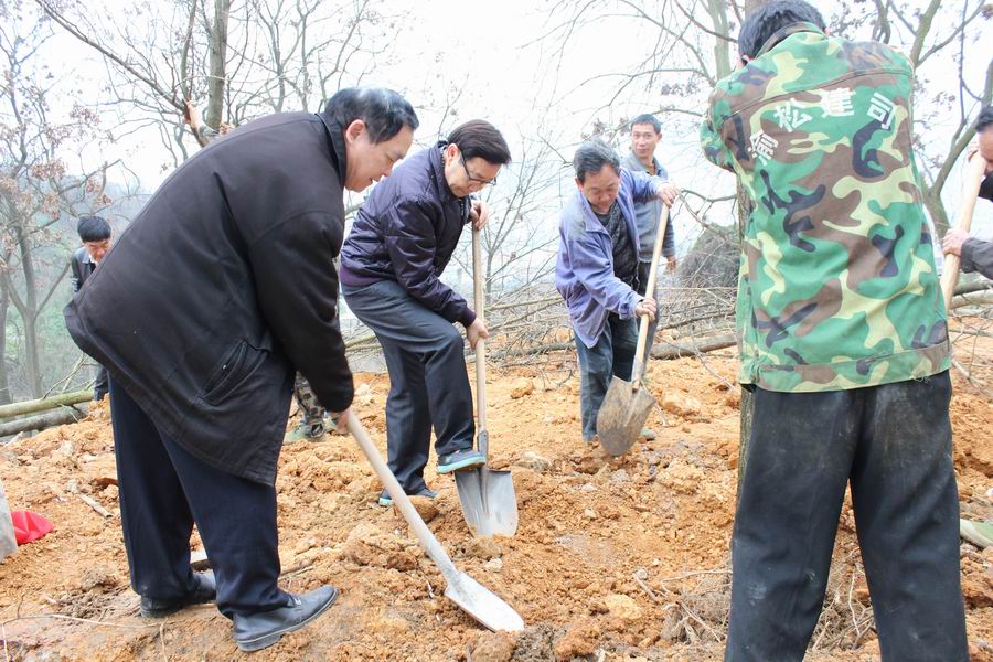 \\"老校友们种植心愿树.jpg"